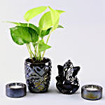 Money Plant 3D Planter and Tealight Diyas