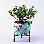 Jade Plant Green Flower Enamle Printed Pot With Stand