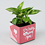 Money Plant In Lucky To Have You Glass Pot