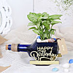 Syngonium Plant In Birthday Antiquity Bottle Planter