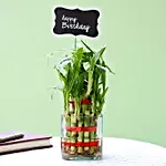 2 Layer Bamboo Plant For Happy Birthday