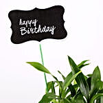 2 Layer Bamboo Plant For Happy Birthday