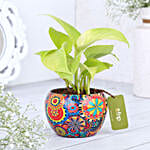 Money Plant In Colourfull Rajwada Printed Pot
