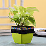 Neon Money Plant in Green Square Pot with Boho Lace