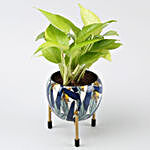 Money Plant In Leaf Printed Metal Pot