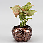 Pink Syngonium Plant In Embroidery Print Pot