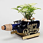 Syngonium Plant In Happy Birthday Antiquity Bottle Planter