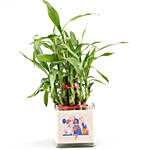 Two Layer Lucky Bamboo In Happy Birthday Glass Vase