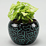 Syngonium & Jade Plant Combo In Embroidered Metal Pot