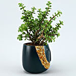 Jade Plant Dark Green & Quartz Stone Face Pot