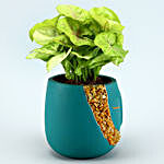 Syngonium Plant Turquoise & Quartz Stone Face Pot