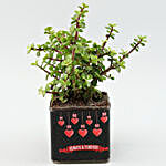 Jade Plant In Love You Always & Forever Sticker Vase