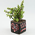 Jade Plant In Sticker Vase With Rose Quartz Wish Tree