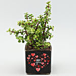 Jade Plant In Sticker Vase With Rose Quartz Wish Tree