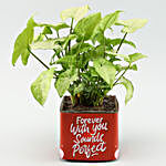 Syngonium Plant In Forever With You Sounds Perfect Sticker V