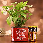 Syngonium Plant In Sticker Vase and Cadbury Five Star Chocolates