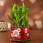Two Layer Bamboo Plant In I'm Lucky To Have You Sticker Vase