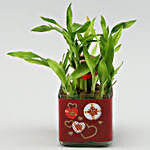 Two Layer Bamboo Plant In I'm Lucky To Have You Sticker Vase