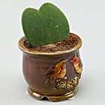 Hoya Plant Red Ceramic Bird Pot