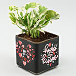 White Pothos Plant Love U Vase & Teddy