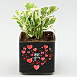 White Pothos Plant Love U Vase & Teddy