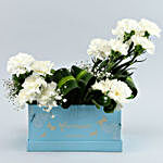 Serene White Carnations Box