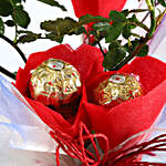 Red Rose Plant Red Heart Pot & Ferrero Rocher