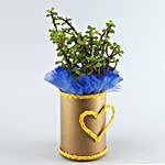 Jade Plant Golden Heart Vase