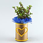 Jade Plant Golden Heart Vase