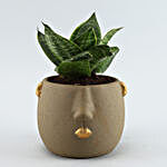 Sansevieria Plant Grey Face Pot