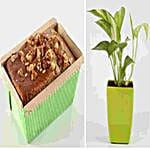 Corp Hamper 04 for DB Schenker