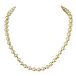 White Shell & Gold Plated Beads Pearl Necklace