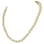 White Shell & Gold Plated Beads Pearl Necklace