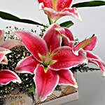 Pink Oriental Lilies FNP Box Arrangement