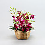 Splendid Purple Orchids Cane Basket Arrangement
