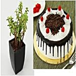 Corp Hamper 01 for Travel N Ease