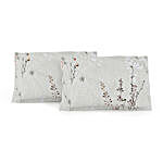 Swayam Premium Cotton 160 TC Double Bedsheet & Pillow Covers