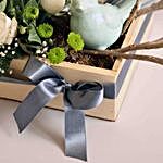 Syngonium Plant Premium Decorative Gift Hamper