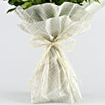 A Cool Breeze Roses Bouquet