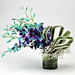 Bewitched Look Of Love Orchids Arrangement