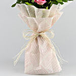 Pretty In Pastel Roses Bouquet & Ferrero Rocher Box
