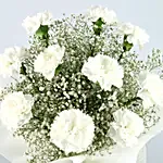True Beauty Carnations Bouquet