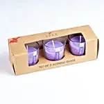 Set of 3 Fragrant Votive Glass Candles- Lavender