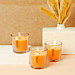 Fragrant Votive Glass Set- Mandarin