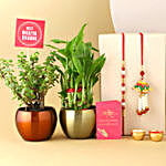 Ethnic Lumba Rakhi Set & Plants