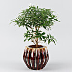 Murraiya Plant Brown Ceramic Planter