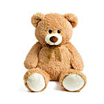 Soft Medium Size Teddy Bear