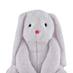 Adorable Bunny Soft Toy- White