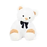 Cute Brown Paw Teddy Bear- White
