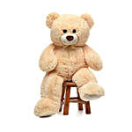 Soft Medium Size Teddy Bear- Cream